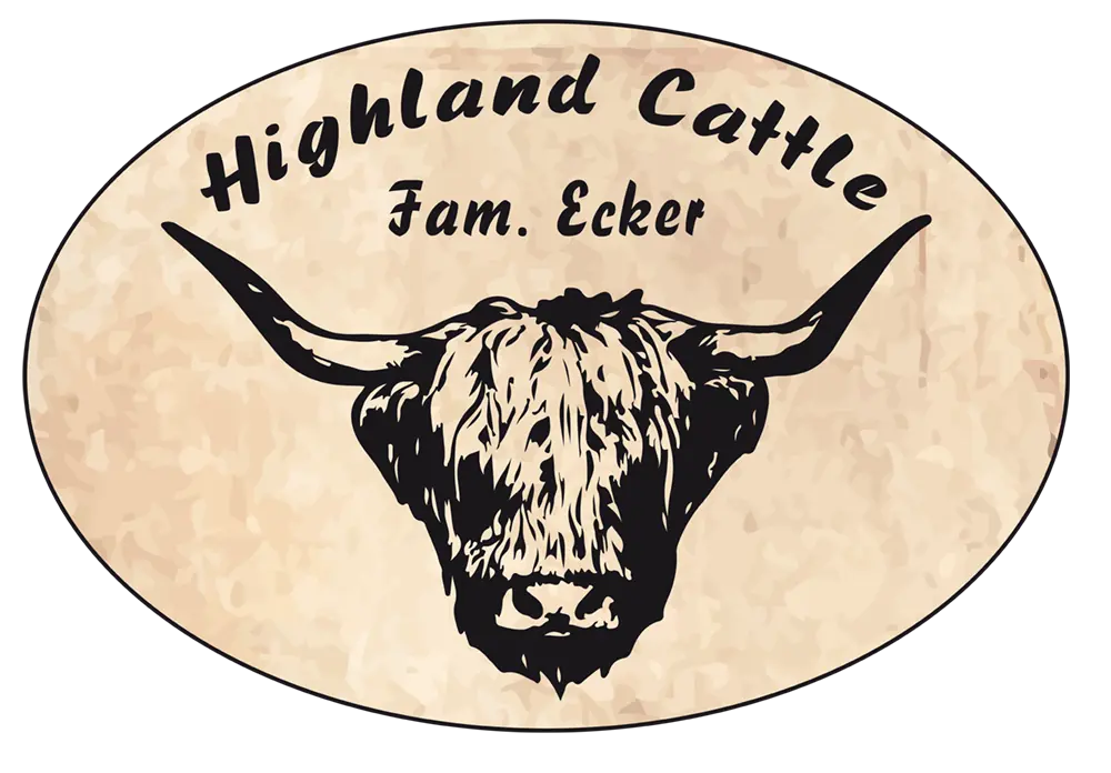 Highland Cattle Familie Ecker
